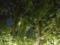 -艾溪湖湿地公园