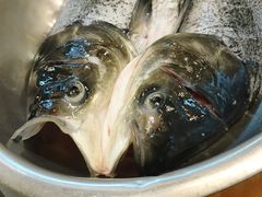 -小团圆灶台鱼·百城头牌菜(千岛湖店)