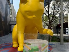 -深圳湾万象城(南山店)