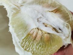 -华雅花园大酒店