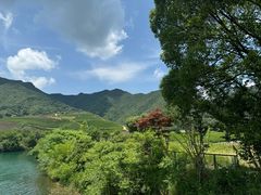 -听风阁农家私房菜茶楼(龙坞店)