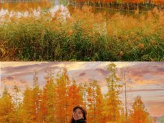 -白鹭湾湿地公园