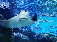 -华夏文旅海洋公园