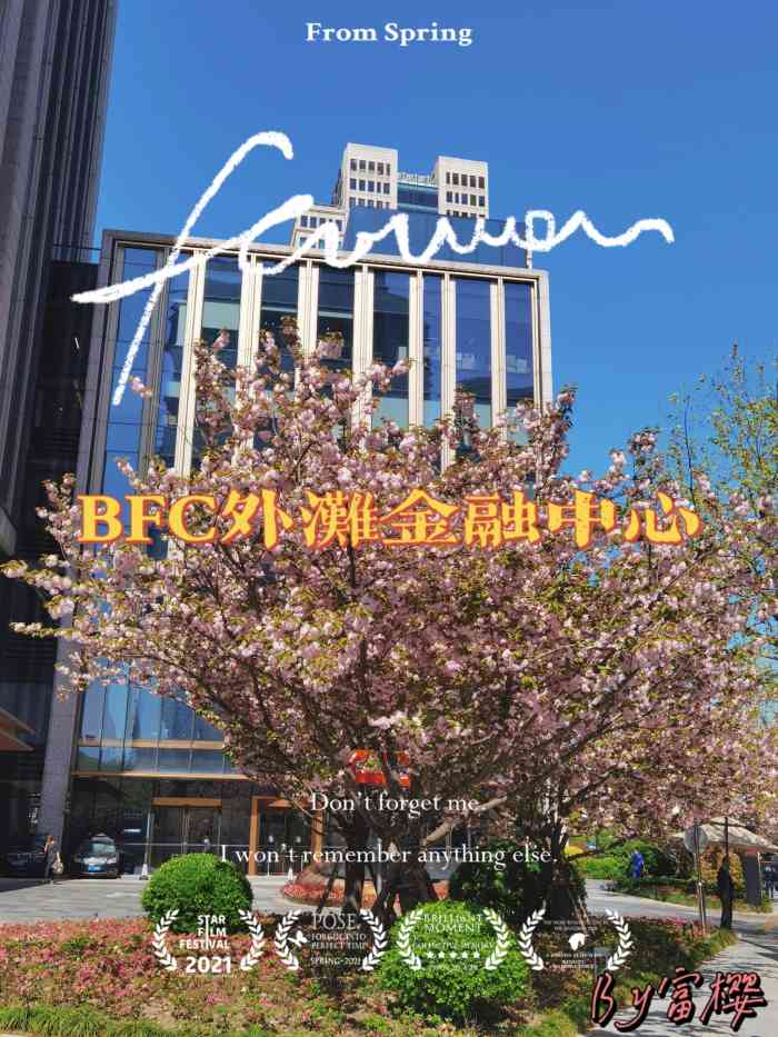 bfc外滩金融中心logo图片