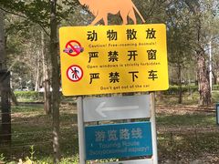 -秦皇岛野生动物园