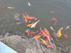 -白马涧龙池景区