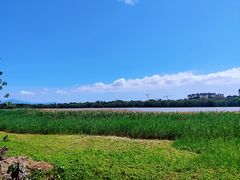 -华侨城湿地公园