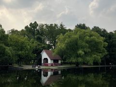 -上海共青森林公园