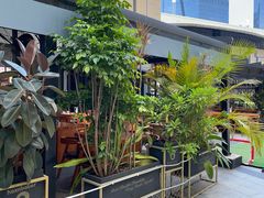 -haxnbauer海森堡德国餐厅(深圳coco店)