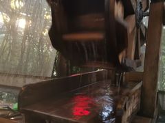 -杭州第一世界大酒店·云曼温泉