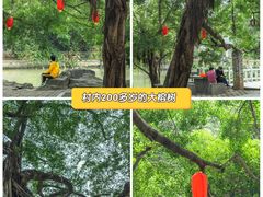 -小洲村