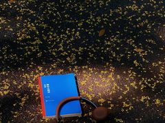 -郑州植物园