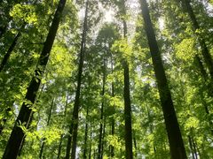 -南京金牛湖风景区