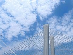 -北龙湖湿地公园