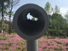 -三圣花乡旅游区