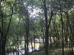 -西安市长乐公园