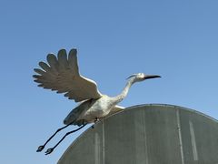 -天津东丽湖风景区