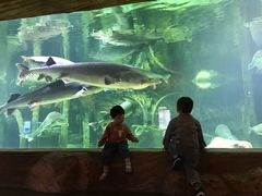 -华夏文旅海洋公园