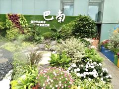 -重庆市江北嘴中央商务区中央公园