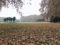 -河南省黄河迎宾馆