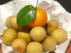 -季季山·云南野生菌火锅(上海首店)