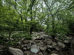 -崂山九水游览区