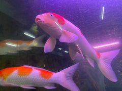 -泉州海丝野生动物世界