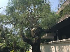 -三亚亚龙湾雅高铂尔曼别墅度假酒店