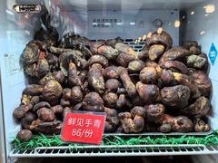 -太婆天府山珍酒楼(亚运村店)