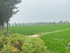 -嘉北郊野公园