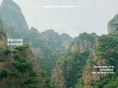 -空中草原