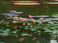 -国家植物园南园