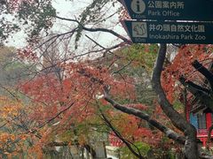 -井之头恩赐公园