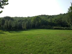 草坪-北京宽沟会议中心