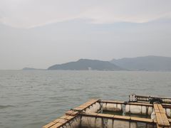 -罗源湾8号渔排