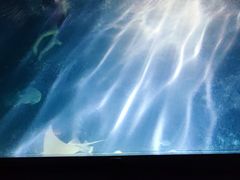 -常州海昌海洋探索馆
