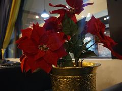 -尼泊尔雪莲餐厅(北京东路店)