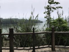 -桐君山春江扬帆码头