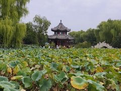-莲池书院博物馆