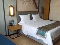 -南宁世纪君悦大酒店(青秀万达滨湖路地铁站店)