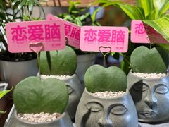 -瑞虹新天地月亮湾