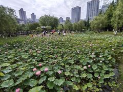 -沐仙湖湿地公园