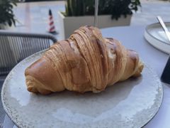 -Wagas沃歌斯(枫蓝国际店)