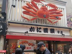 -蟹道乐(道顿堀本店)