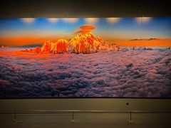 -罗红摄影艺术馆