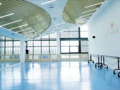 -西安小天鹅艺术团(曲江Alice店)