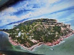 -广东惠东海龟国家级自然保护区