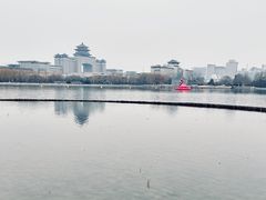 -莲花池公园