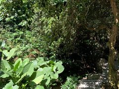 -广州市白云山风景名胜区