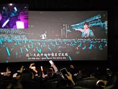 -汉阳天河电影城(王家湾店)